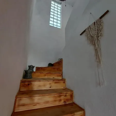 Vinograd Kalkan * Kaş